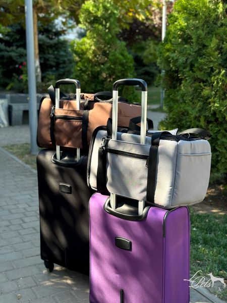 Переноска для собак и котов &laquo;Авиа&raquo; серая soft_bag-avia_xs_gray фото