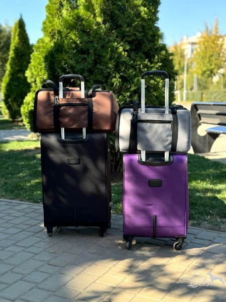 Переноска для собак и котов &laquo;Авиа&raquo; серая soft_bag-avia_xs_gray фото