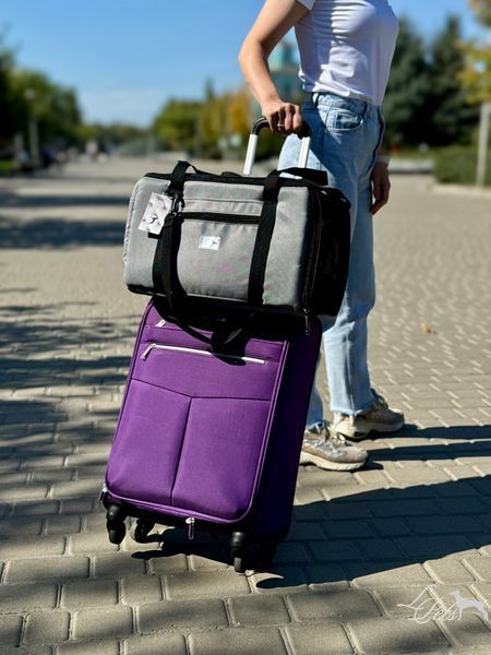 Переноска для собак и котов &laquo;Авиа&raquo; серая soft_bag-avia_xs_gray фото