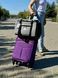Переноска для собак и котов &laquo;Авиа&raquo; серая soft_bag-avia_xs_gray фото 6