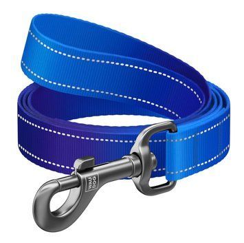 Повідець для собак нейлоновий Waudog Nylon Mono світловідбивний синій povidets-nylon-mono-blue-S фото