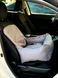 Автокрісло для собак та котів Оксфорд ciрий car_seat-oxford_s_gray фото 1
