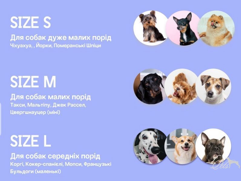 Бейсболка для собак котон Sims Рожева  beisbolka-sims-pink-s фото