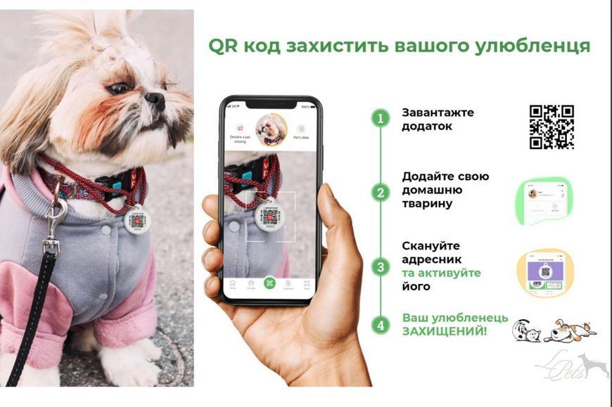 Нашийник для собак нейлоновий Waudog Nylon Mono світловідбивний синій  nashyinyk-nylon-mono-blue-s фото