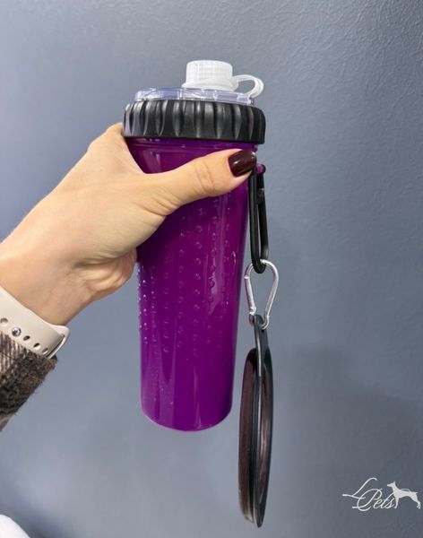 Поилка двойная для воды и корма с миской  pliashka-myskoi-purple  фото