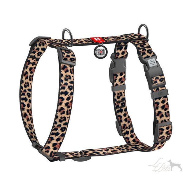 Шлея для собак анатомічна H-подібна Waudog Nylon Лео shleia-anatomichna-Leo-s фото